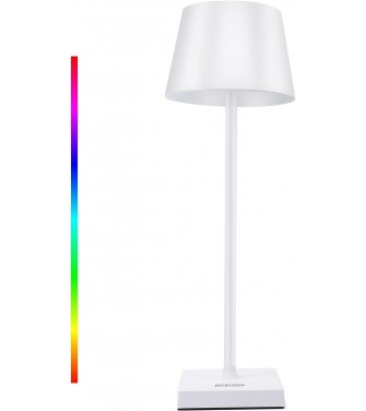 ClaShop Lampada da Tavolo Senza Fili Ricaricabile - Lampada da Scrivania a LED Dimmerabile All'infinito con Interruttore Tattile